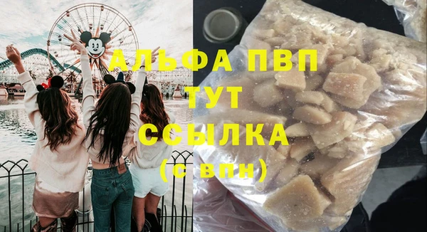 гашик Инсар