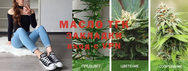 гашик Инсар