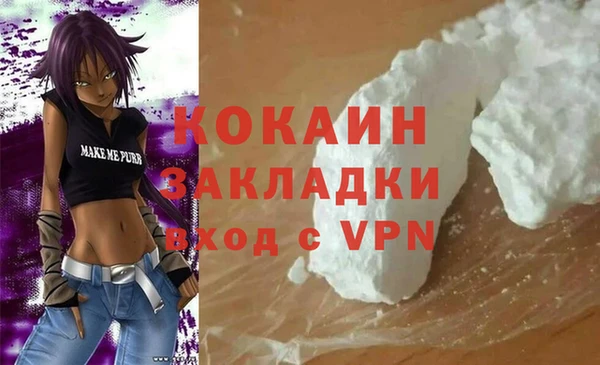 гашик Инсар