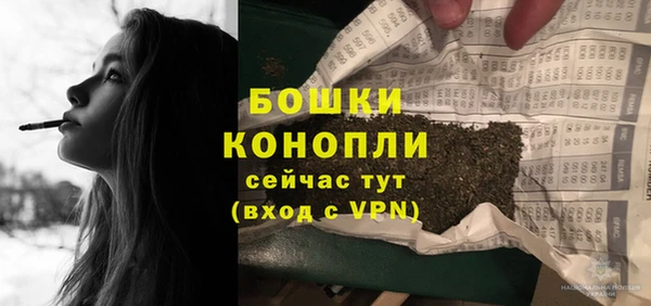 гашик Инсар