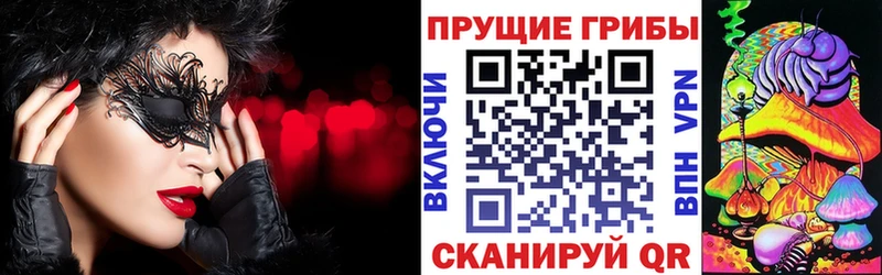 Купить закладки  Дагестанские Огни  Галлюциногенные грибы Psilocybine cubensis 